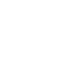 divi-logo-white